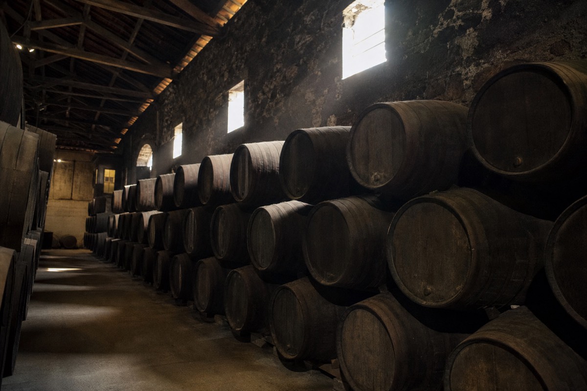 Rows of stacked oak port barrels resting in a cool, dimly lit aging cellar